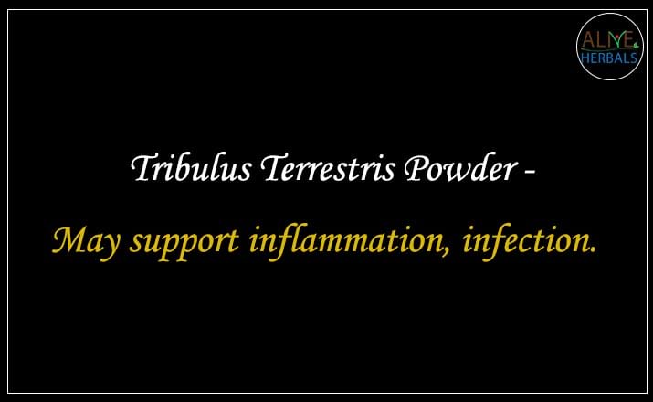 Tribulus Terrestris Powder - Buy from the natural health food store