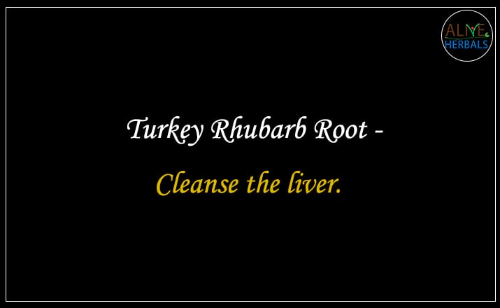 Turkey Rhubarb Root - Buy from the online herbal store
