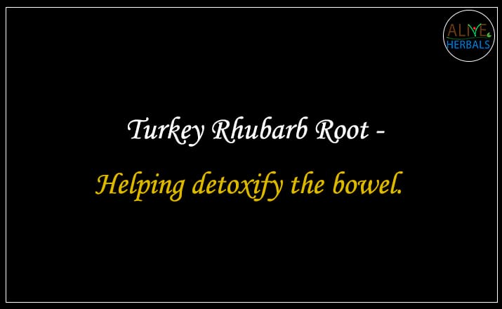Turkey Rhubarb Root - Buy from the natural herb store