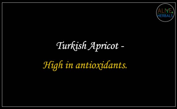 Turkish Apricot - Buy from the dried fruit store.