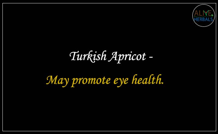 Turkish Apricot - Buy from the dried fruit shop