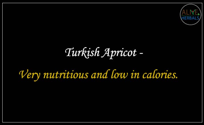 Turkish Apricot - buy best dried fruits online store