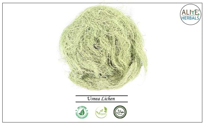 Usnea Lichen - Buy from the health food store