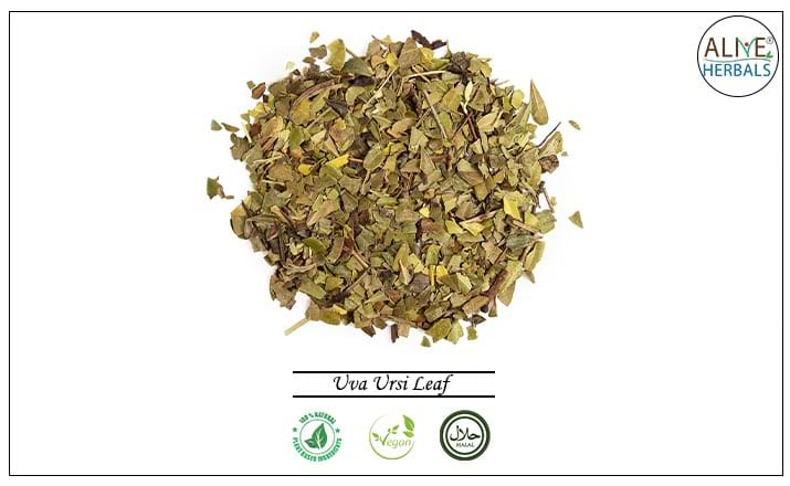 Uva Ursi Leaf - Buy from the health food store