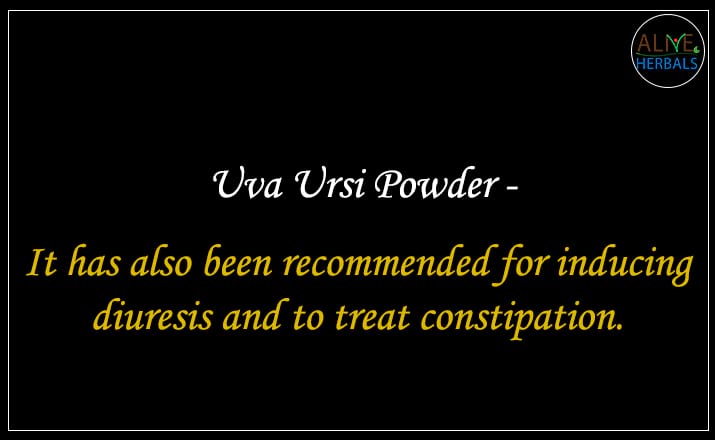 Uva Ursi Powder - Buy from the online herbal store