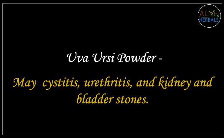 Uva Ursi Powder - Buy from the natural health food store