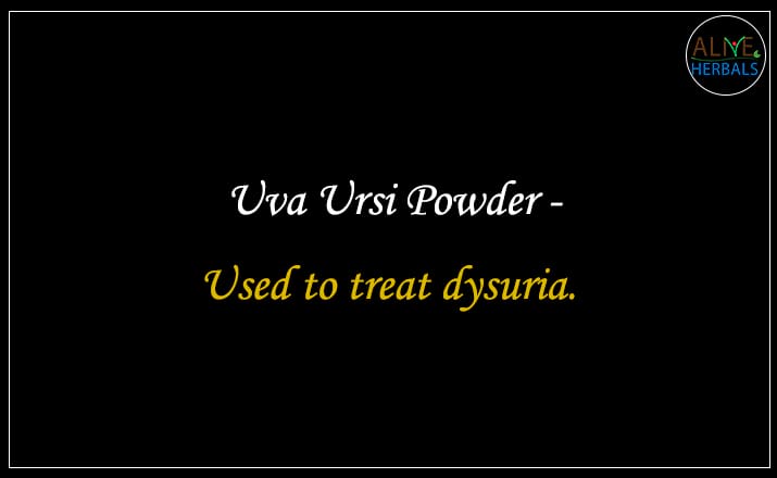 Uva Ursi Powder - Buy from the natural herb store