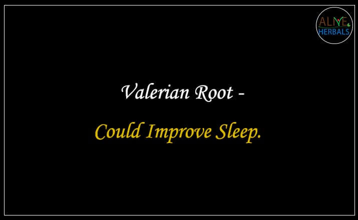 Valerian Root - Buy from the online herbal store