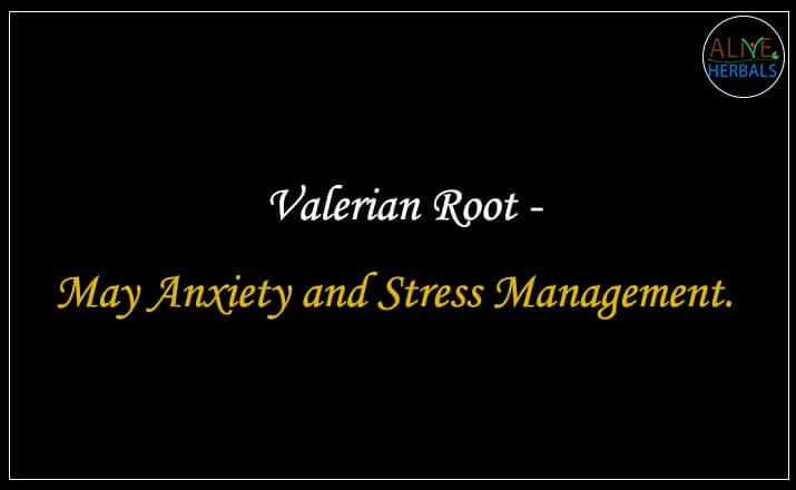 Valerian Root - Buy from the natural herb store