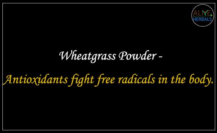 Wheatgrass Powder - Buy from the online herbal store