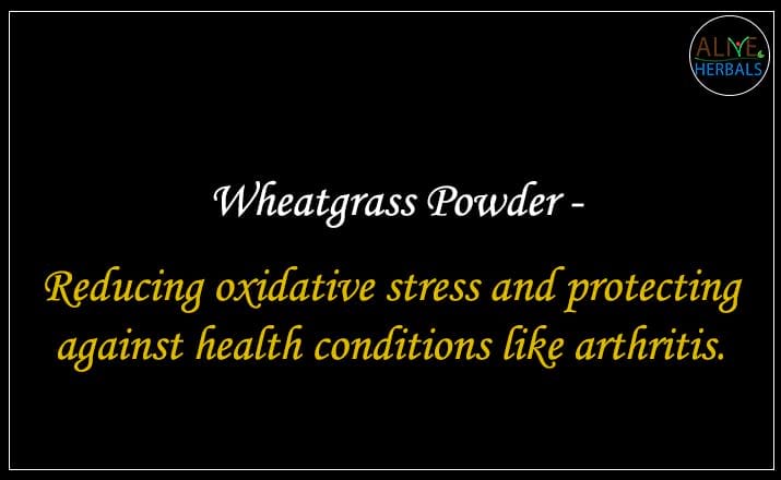 Wheatgrass Powder - Buy from the natural health food store