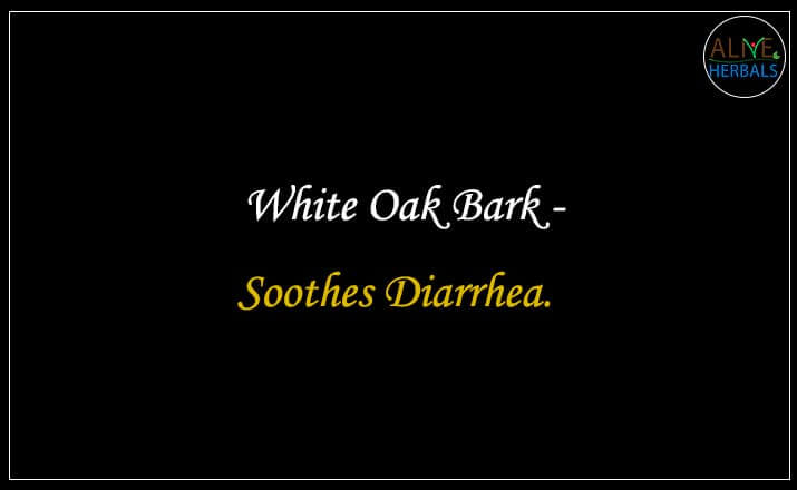 White Oak Bark - Buy from the online herbal store