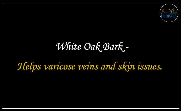 White Oak Bark - Buy from the natural herb store