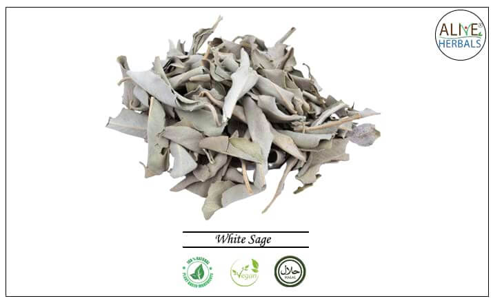 White Sage - Buy from the health food store