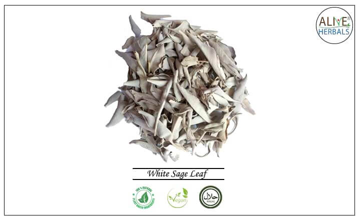 White Sage Leaf - Buy from the health food store