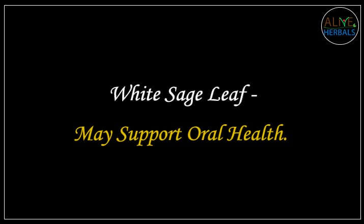 White Sage Leaf - Buy from the online herbal store