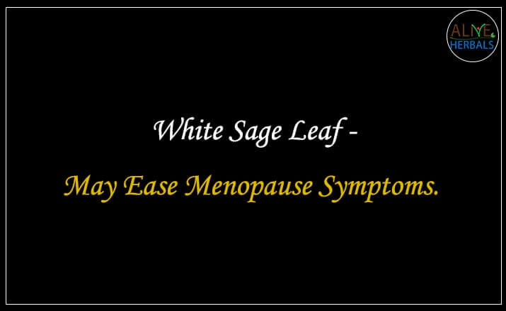 White Sage Leaf - Buy from the natural health food store