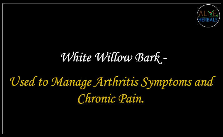 White Willow Bark - Buy from the online herbal store