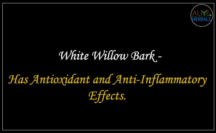 White Willow Bark - Buy from the natural herb store