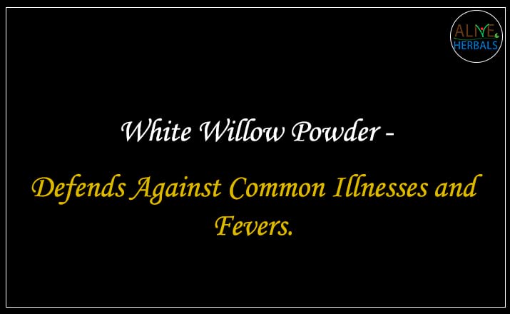 White Willow Bark Powder - Buy from the natural health food store