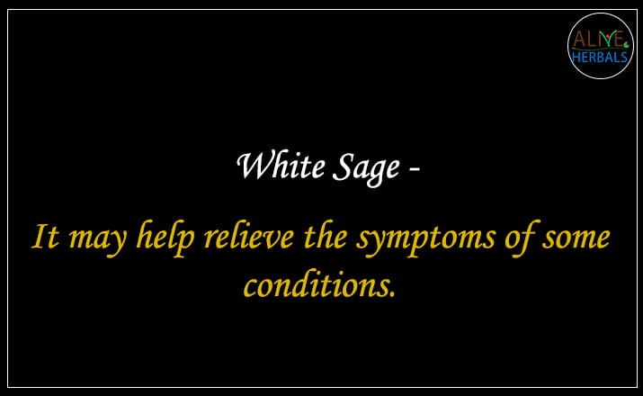 White Sage - Buy from the online herbal store