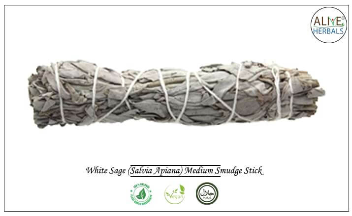 White Sage Smudge Stick - Buy from the health food store