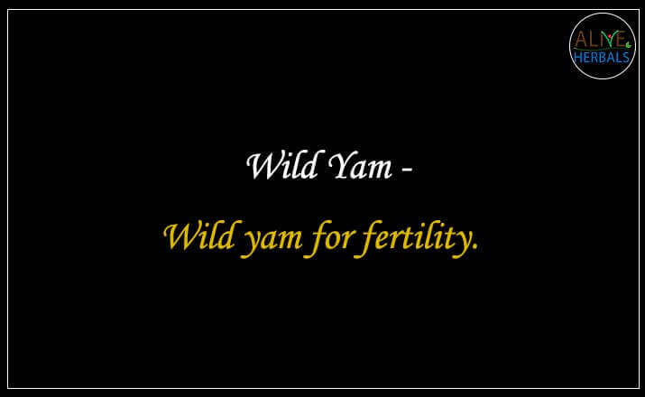 Wild Yam - Buy from the online herbal store