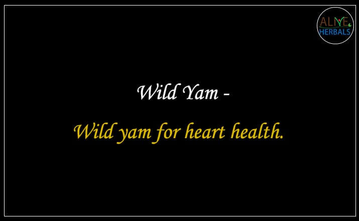 Wild Yam - Buy from the natural health food store