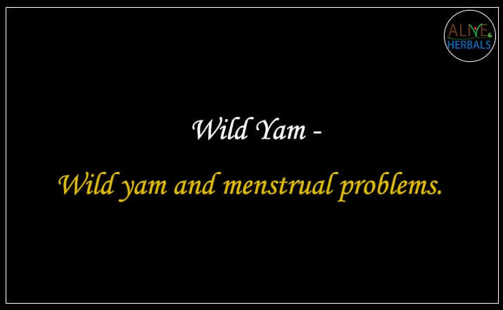 Wild Yam - Buy from the natural herb store