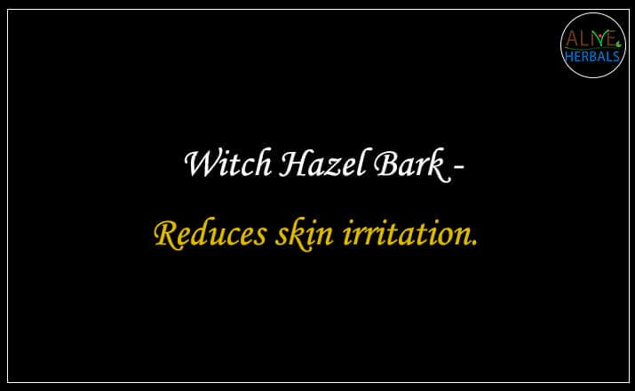 Witch Hazel Bark - Buy from the online herbal store