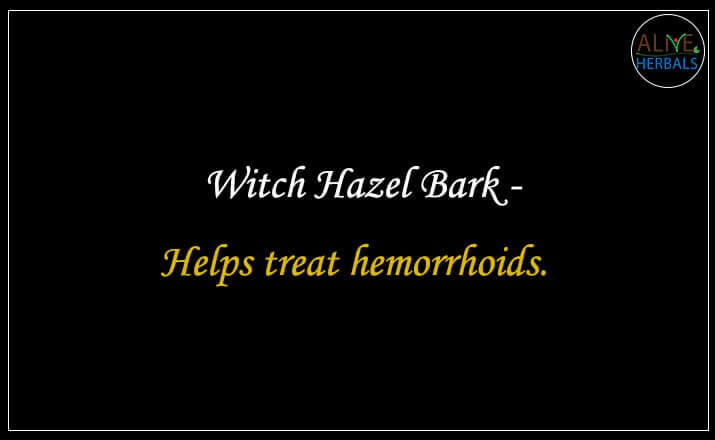 Witch Hazel Bark - Buy from the natural health food store