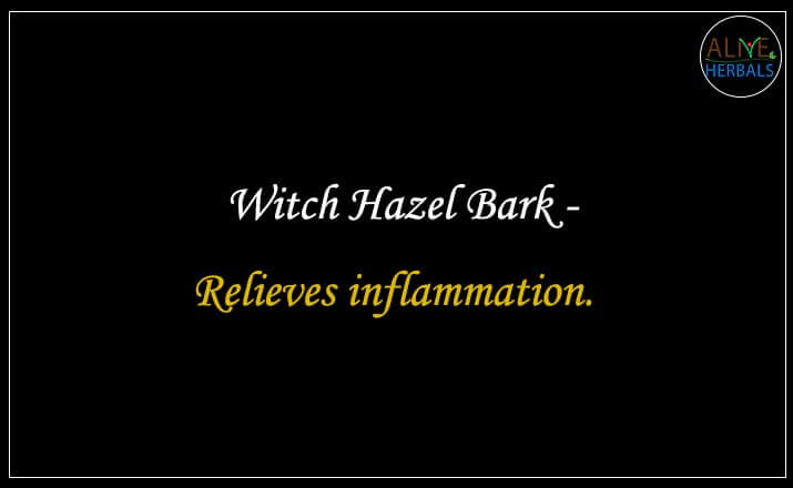Witch Hazel Bark - Buy from the natural herb store