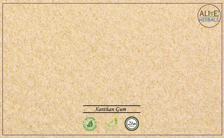 Xanthan Gum - Buy from the health food store