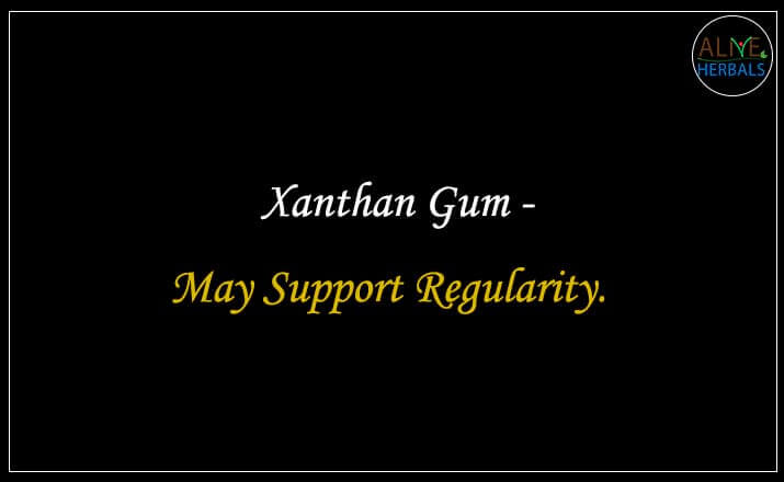 Xanthan Gum - Buy from the online herbal store