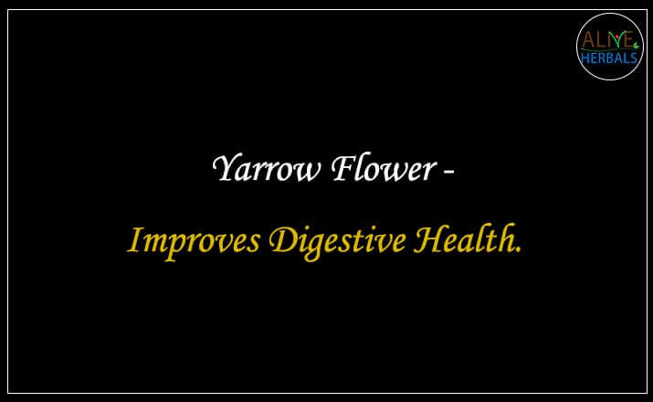 Yarrow Flower - Buy from the online herbal store