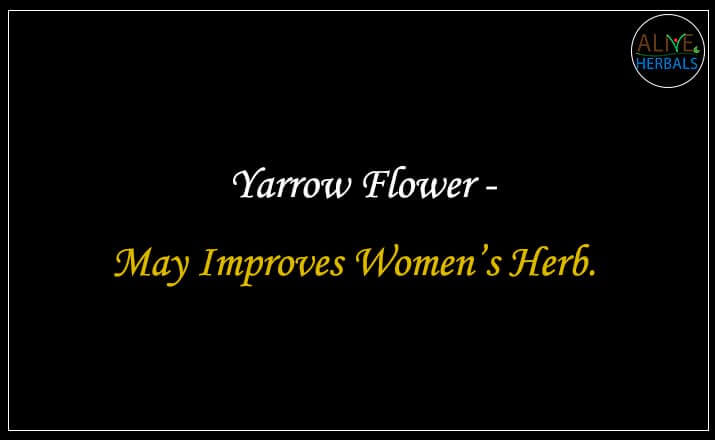 Yarrow Flower - Buy from the natural health food store