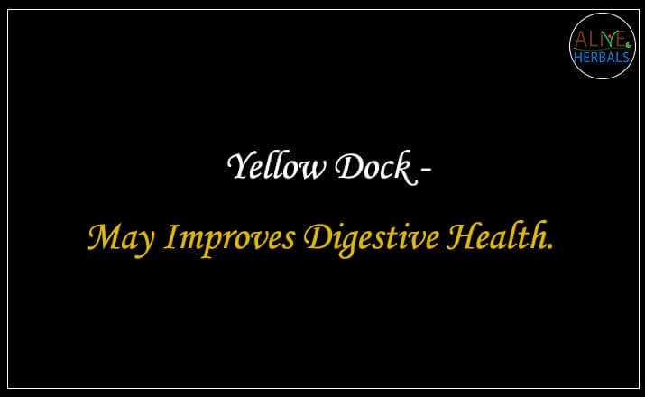 Yellow Dock - Buy from the online herbal store