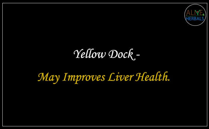 Yellow Dock - Buy from the natural herb store