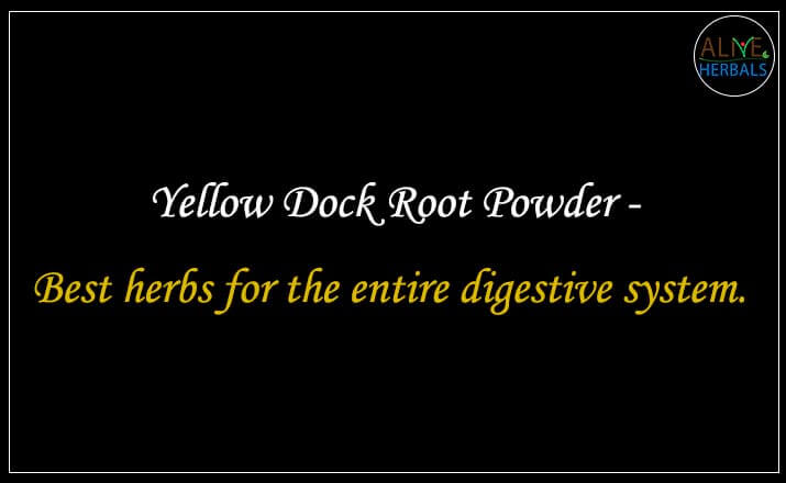 Yellow Dock Root Powder - Buy from the natural health food store