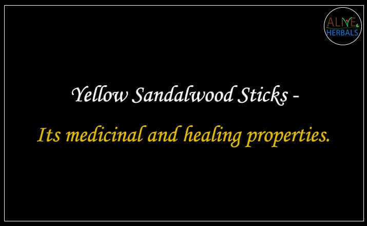Yellow Sandalwood Sticks - Buy from the natural health food store