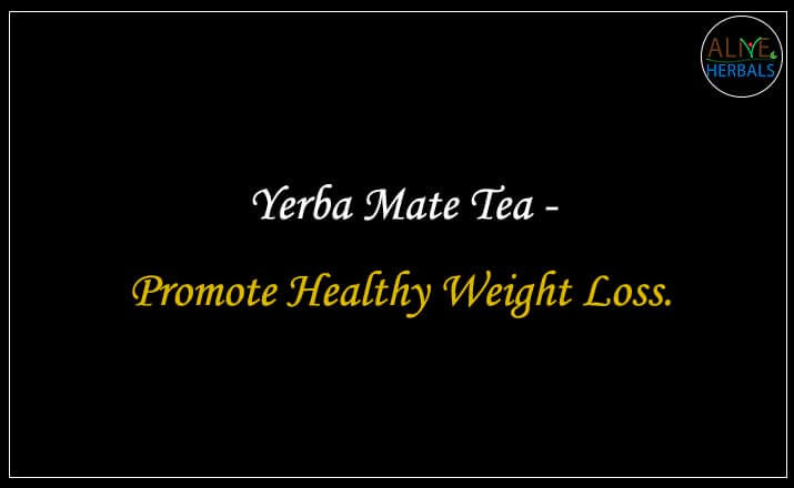 Yerba Mate Tea - Buy from the Tea Store Near Me 