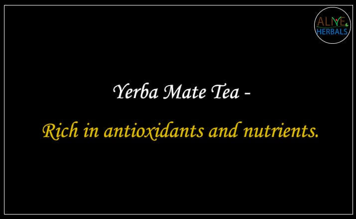 Yerba Mate Tea - Buy from the Health Food Store