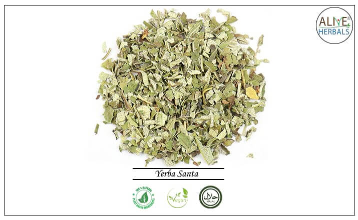 Yerba Santa - Buy from the health food store