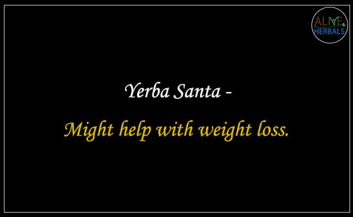 Yerba Santa - Buy from the online herbal store