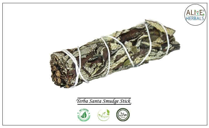 Yerba Santa Smudge Stick - Buy from the health food store