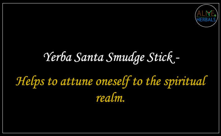 Yerba Santa Smudge Stick - Buy from the online herbal store