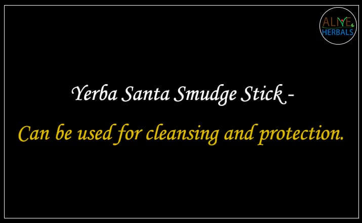 Yerba Santa Smudge Stick - Buy from the natural health food store