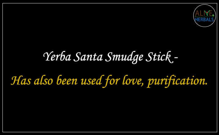 Yerba Santa Smudge Stick - Buy from the natural herb store