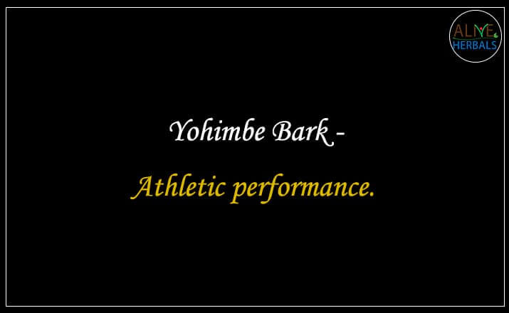 Yohimbe Bark - Buy from the natural health food store
