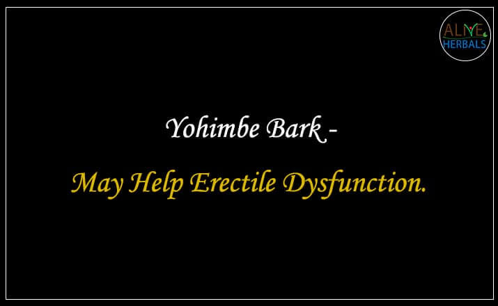 Yohimbe Bark - Buy from the natural herb store